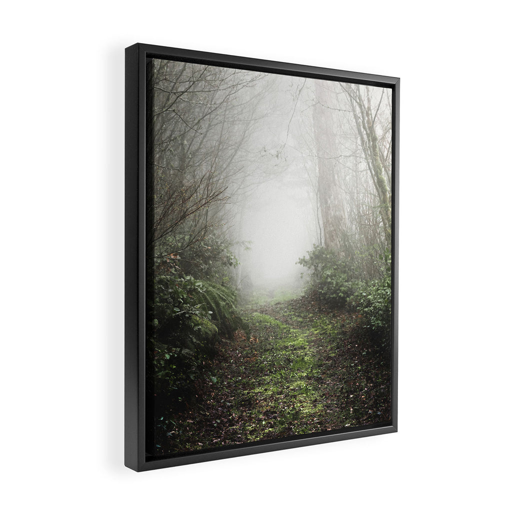 Pacific Northwest Trails - 121/365 Nature Photography Framed Canvas Print Gallery Image 2