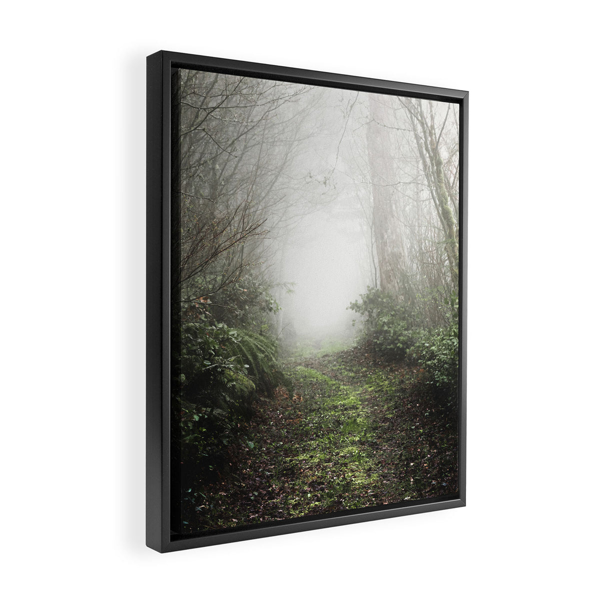 Pacific Northwest Trails - 121/365 Nature Photography Framed Canvas Print Gallery Image 2