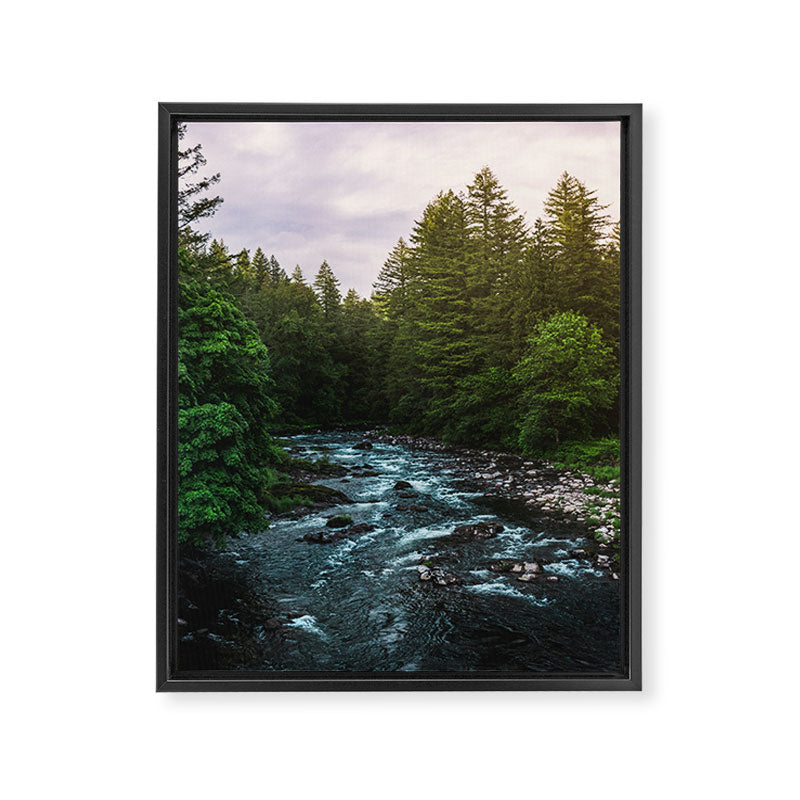 PNW River Run II - Pacific Northwest Nature Photography Framed Canvas Print Gallery Image 6