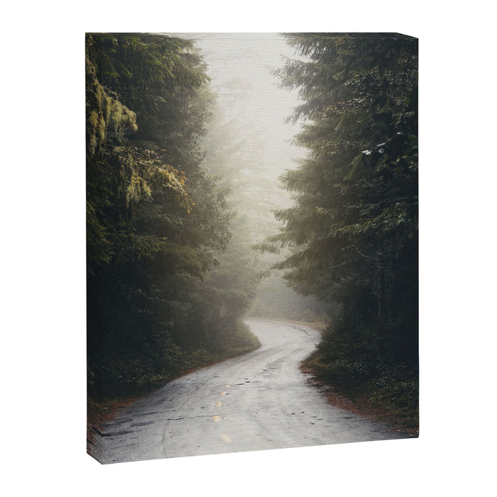 Redwood Forest Adventure 2022 - Nature Photography Canvas Print Gallery Image 1