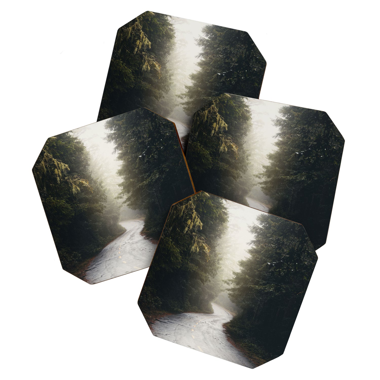 Redwood Forest Adventure 2022 - Nature Photography Coaster Gallery Image 1