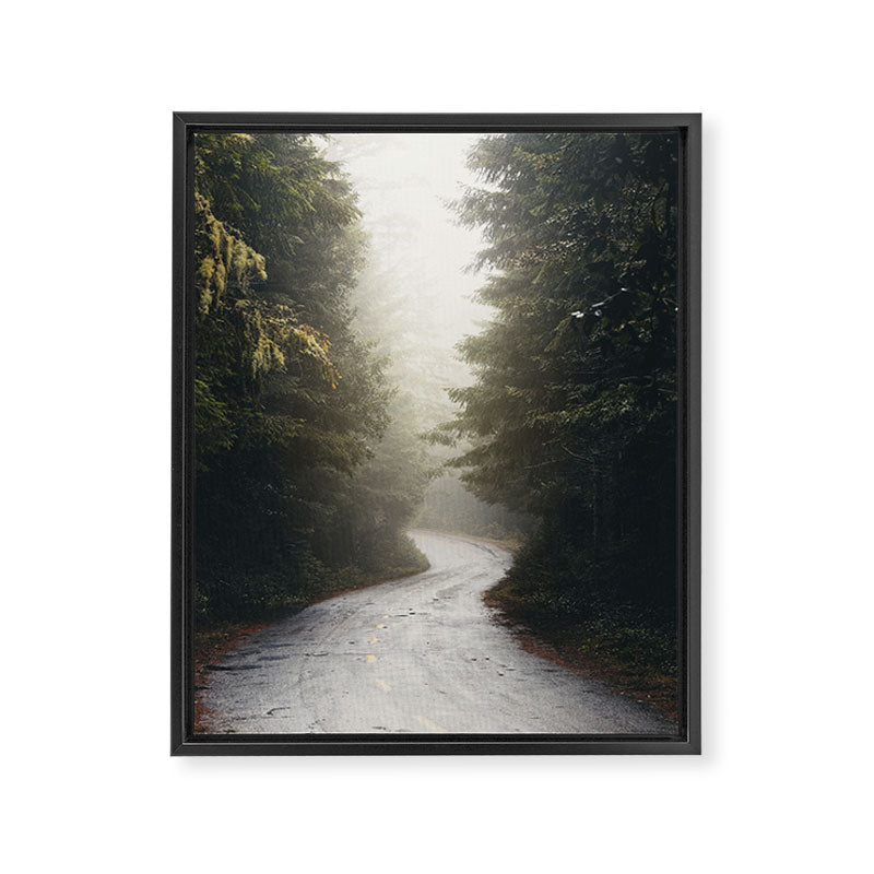 Redwood Forest Adventure 2022 - Nature Photography Framed Canvas Print Gallery Image 6