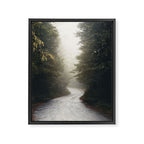 Redwood Forest Adventure 2022 - Nature Photography Framed Canvas Print Gallery Image 6