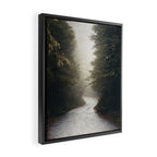 Redwood Forest Adventure 2022 - Nature Photography Framed Canvas Print Gallery Image 2