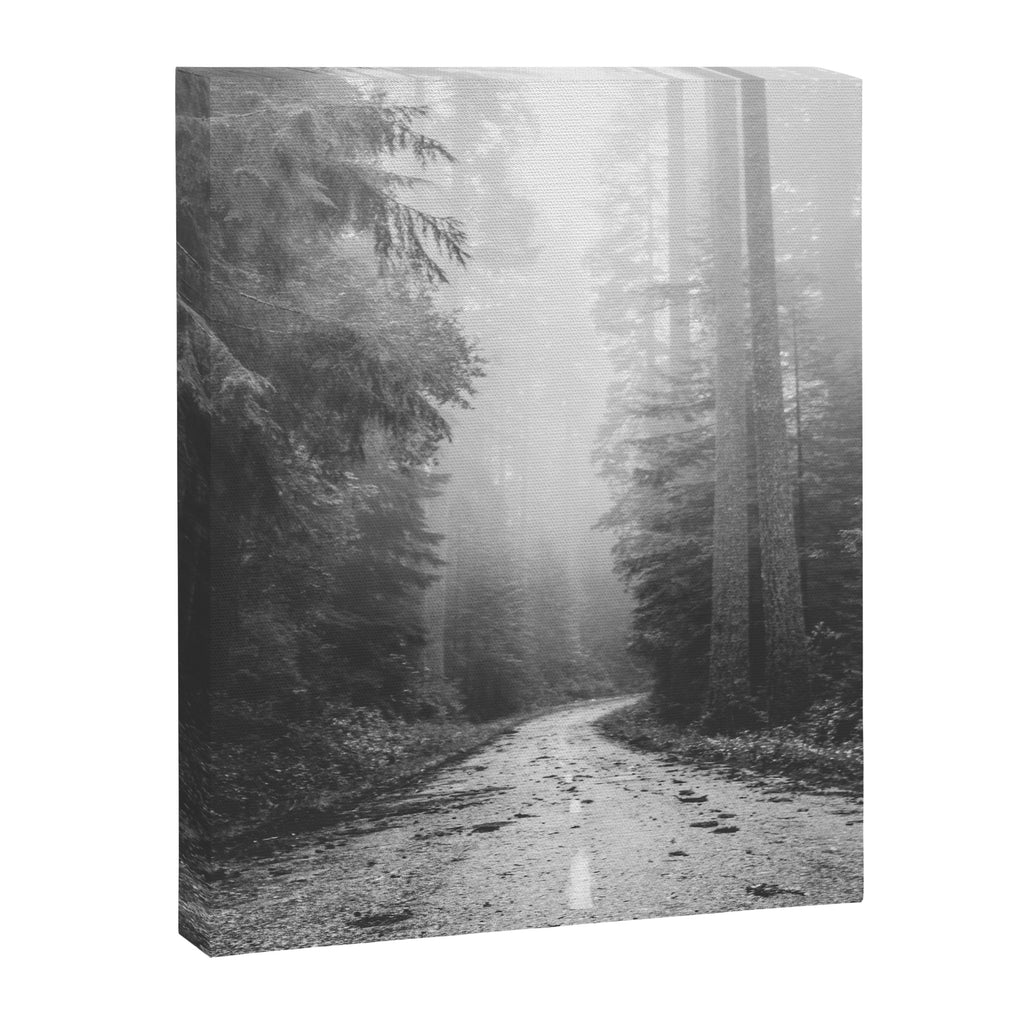 Redwood Forest Adventure Black and White - Nature Photography Canvas Print Gallery Image 6