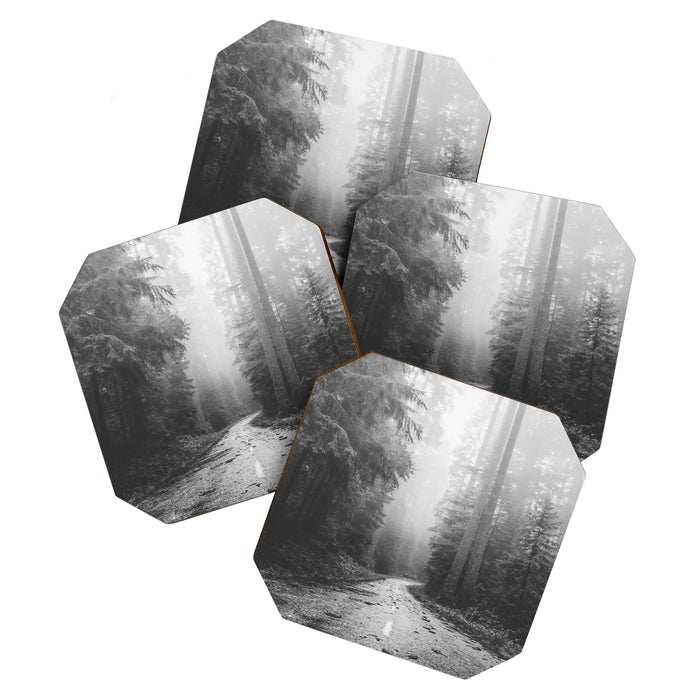 Redwood Forest Adventure Black and White - Nature Photography Coaster Gallery Image 1