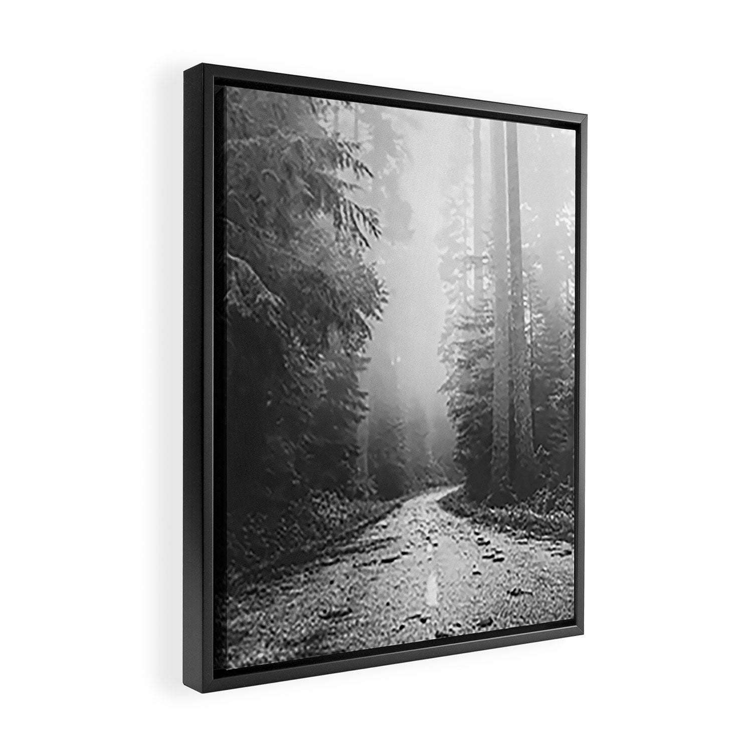 Redwood Forest Adventure Black and White - Nature Photography Framed Canvas Print Gallery Image 2
