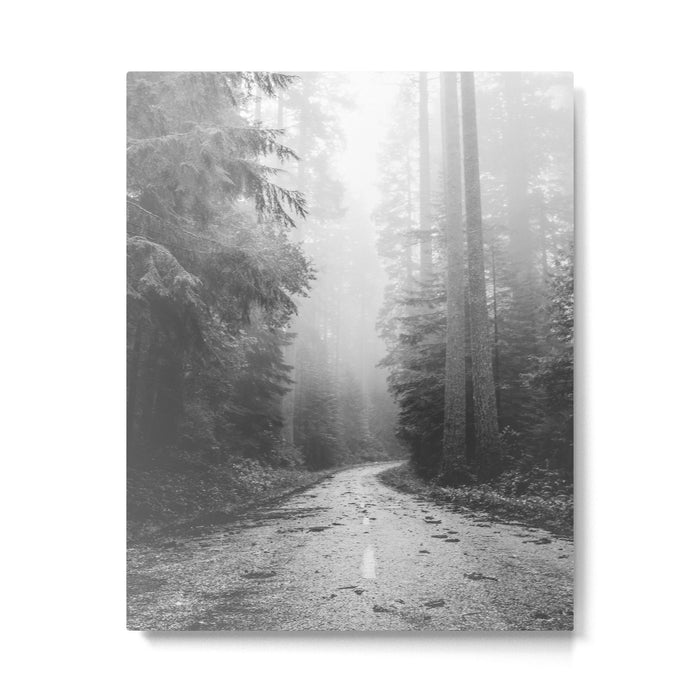 Redwood Forest Adventure Black and White - Nature Photography Metal Print Gallery Image 1