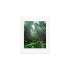 Redwood Forest Adventure IV - National Parks Nature Photography Art Print Gallery Image 1