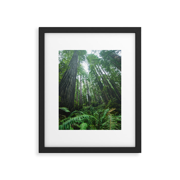 Redwood Forest Adventure IV - National Parks Nature Photography Framed Art Print Gallery Image 1