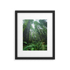 Redwood Forest Adventure IV - National Parks Nature Photography Framed Art Print Gallery Image 5