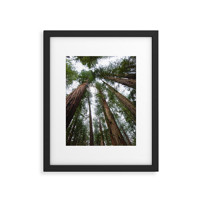 Redwood Forest Adventure VI - Nature Photography Framed Art Print Gallery Image 5