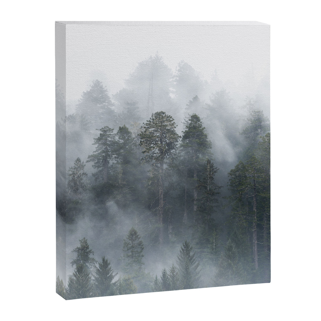 Redwood National Park Forest Fog Canvas Print Gallery Image 6