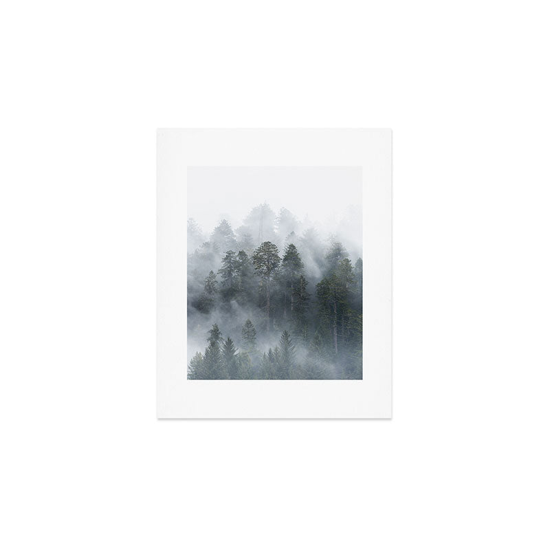 Redwood National Park Forest Fog Art Print Gallery Image 1