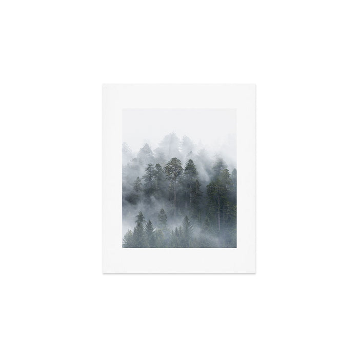 Redwood National Park Forest Fog Art Print Gallery Image 1