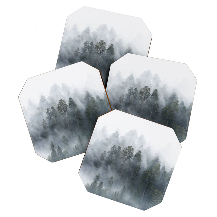 Redwood National Park Forest Fog Coaster Gallery Image 1
