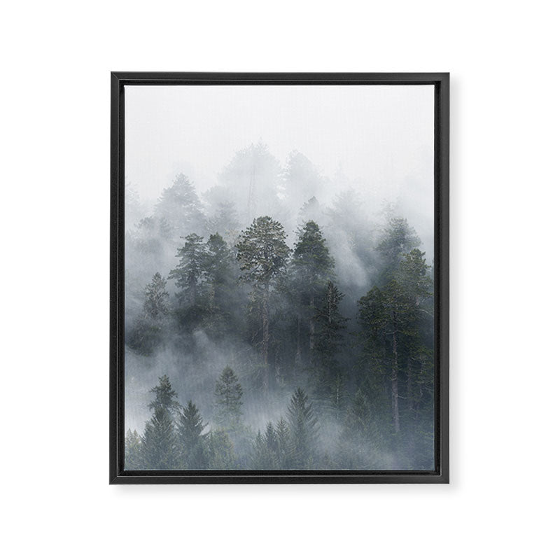 Redwood National Park Forest Fog Framed Canvas Print Gallery Image 6