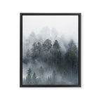 Redwood National Park Forest Fog Framed Canvas Print Gallery Image 6