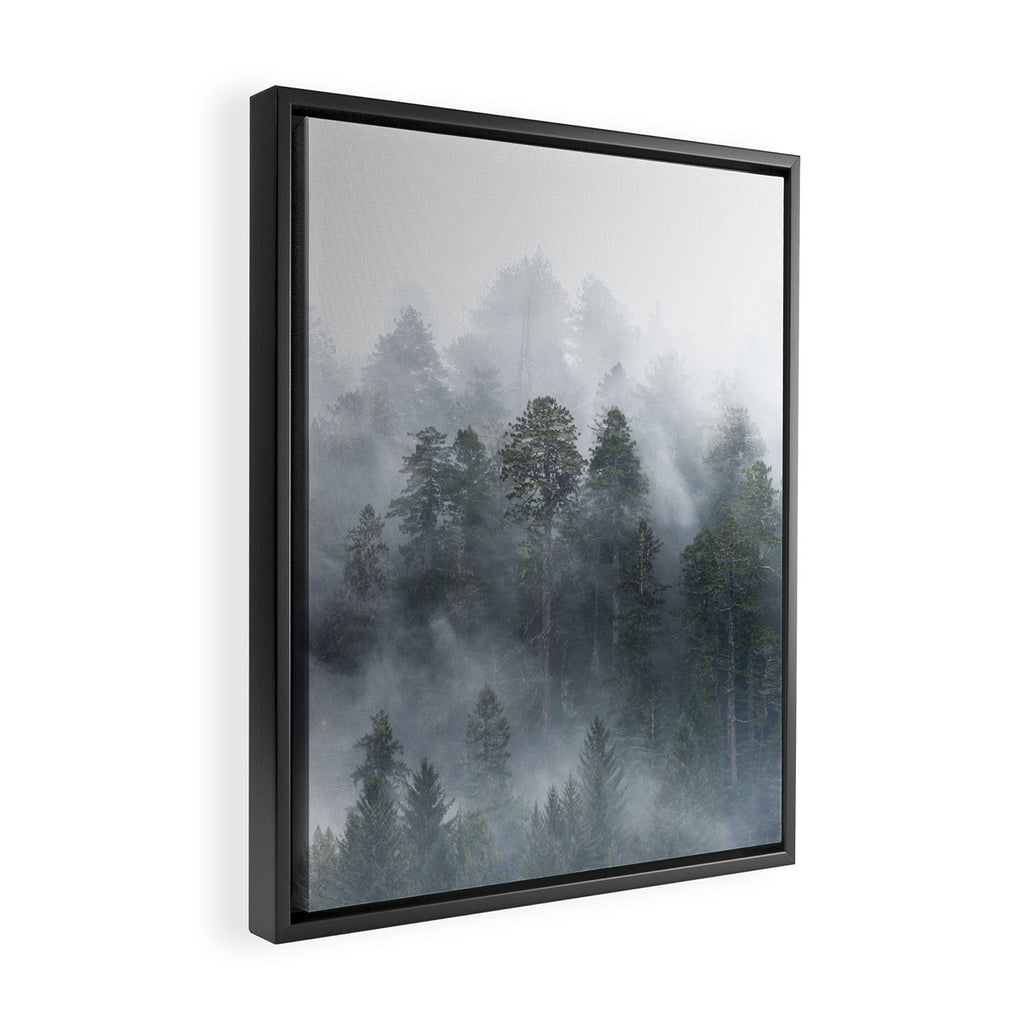 Redwood National Park Forest Fog Framed Canvas Print Gallery Image 2