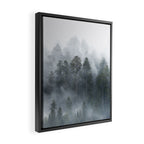 Redwood National Park Forest Fog Framed Canvas Print Gallery Image 2