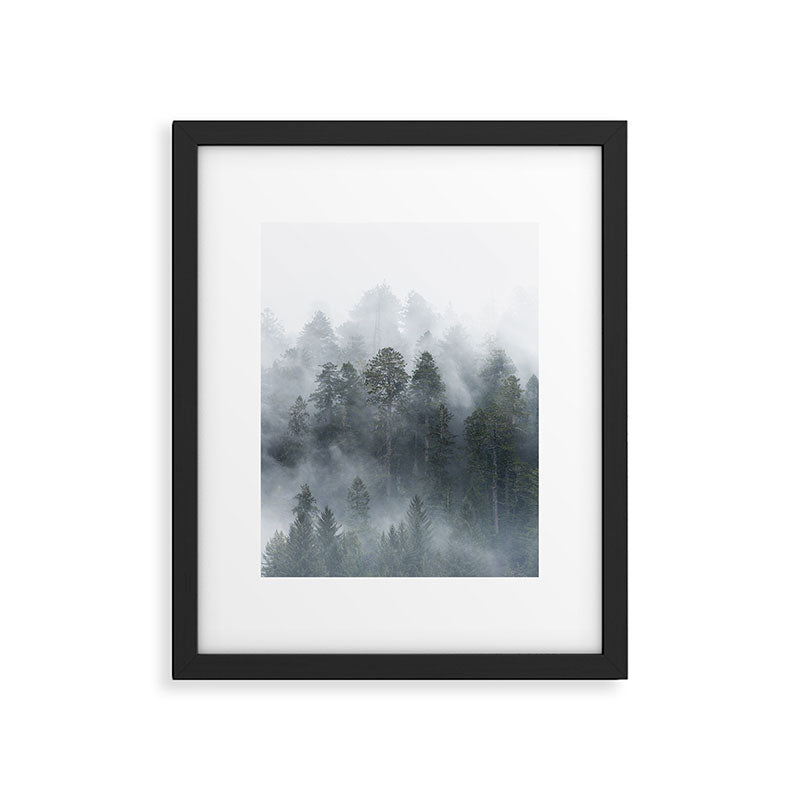 Redwood National Park Forest Fog Framed Art Print Gallery Image 4