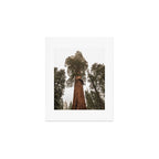 Redwoods National Park Wanderlust Adventure VI Art Print Gallery Image 1