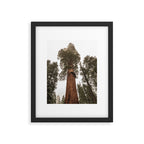 Redwoods National Park Wanderlust Adventure VI Framed Art Print Gallery Image 5