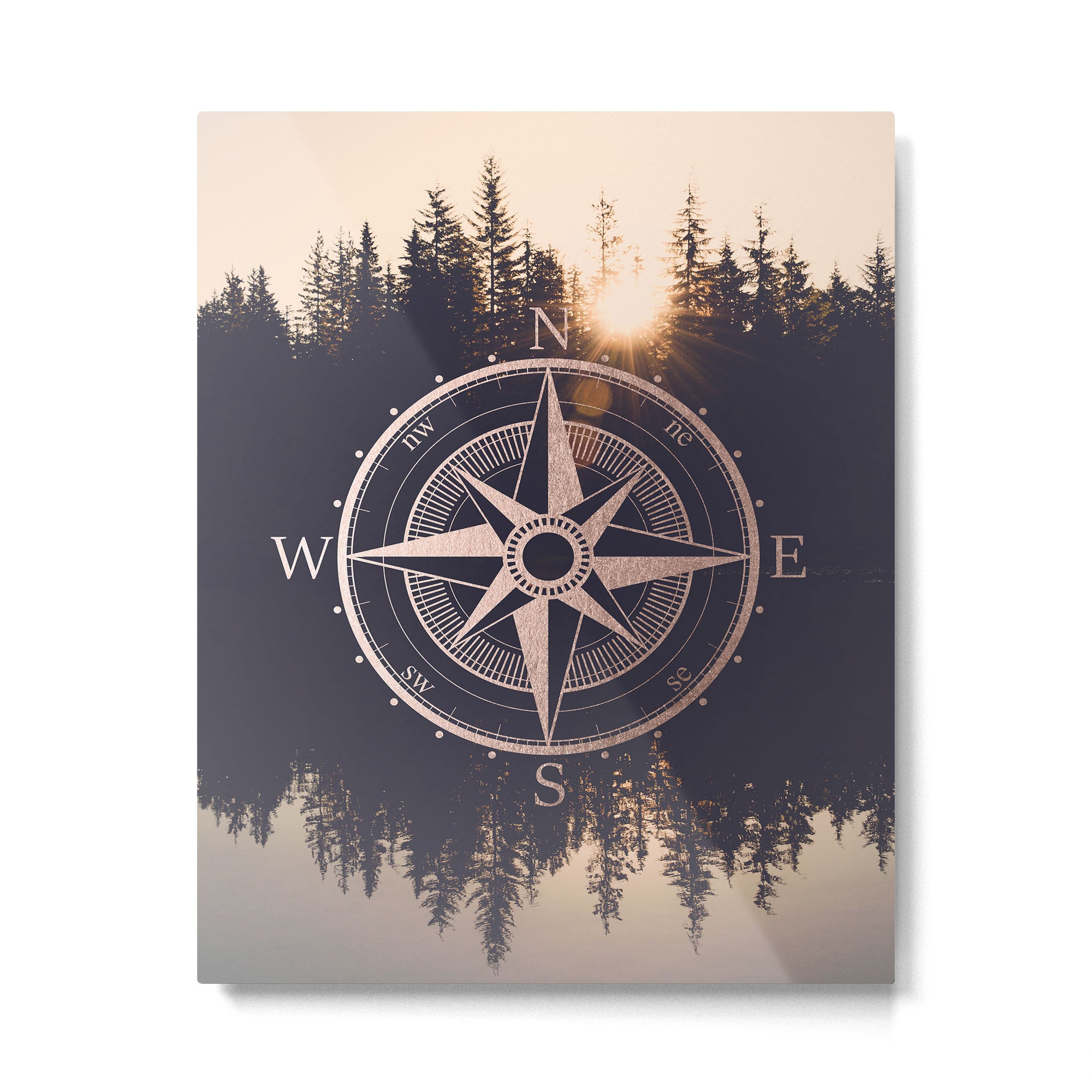 Rose Gold Compass Forest Metal Print Gallery Image 6