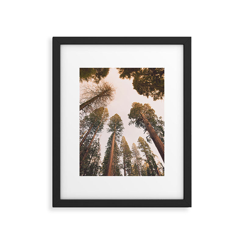 Sequoia Sunset Framed Art Print Gallery Image 5