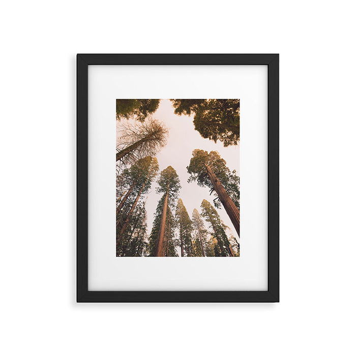 Sequoia Sunset Framed Art Print Gallery Image 1
