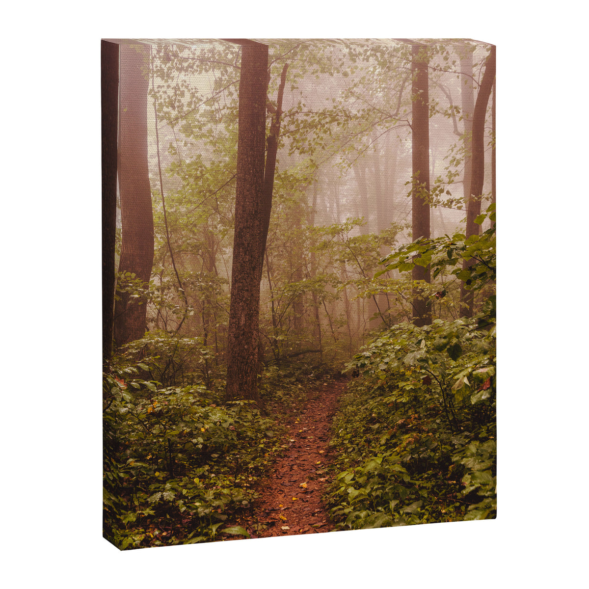 Smoky Mountain Forest Adventure II - National Park Nature Photography Canvas Print Gallery Image 6
