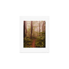 Smoky Mountain Forest Adventure II - National Park Nature Photography Art Print Gallery Image 1