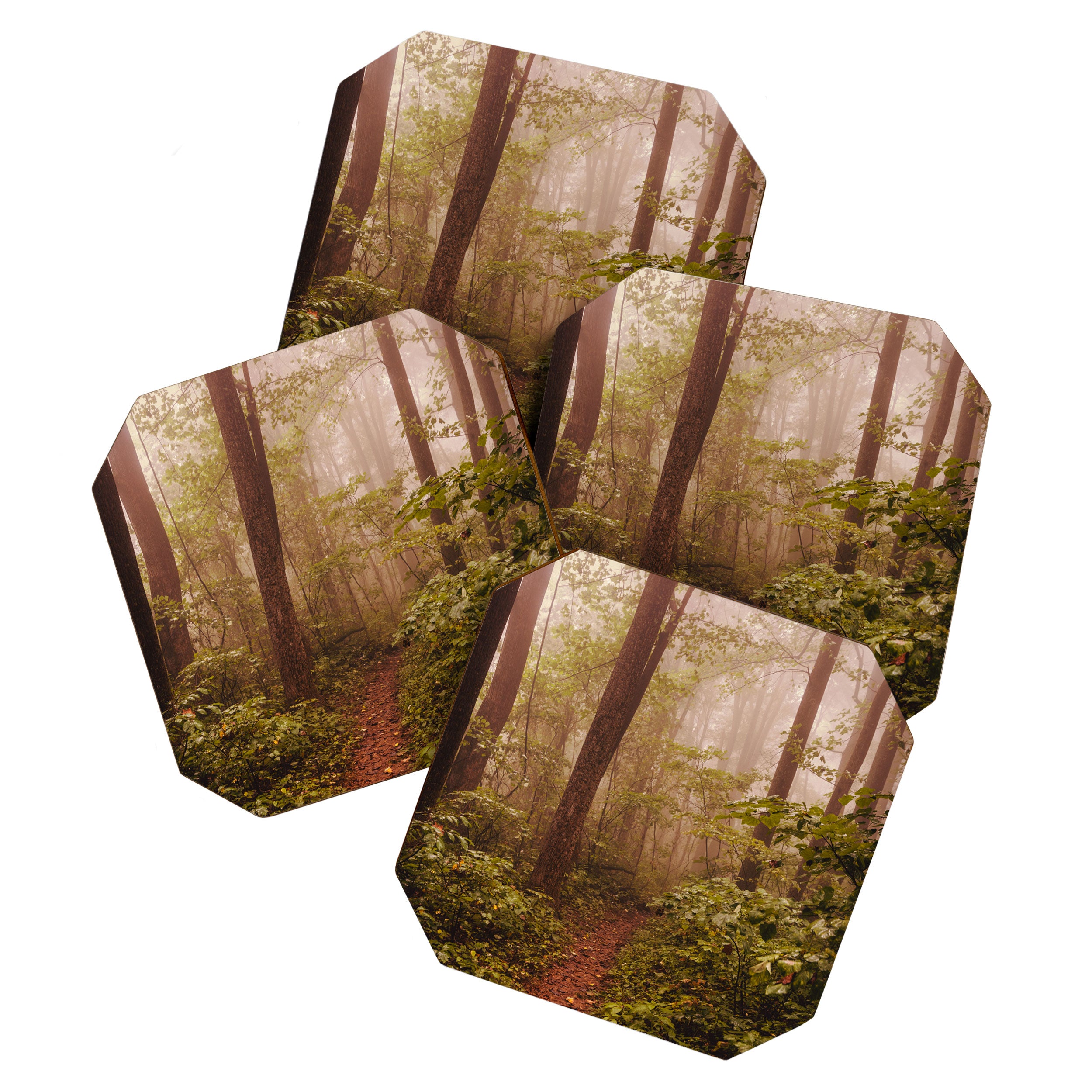 Smoky Mountain Forest Adventure II - National Park Nature Photography Coaster Gallery Image 1