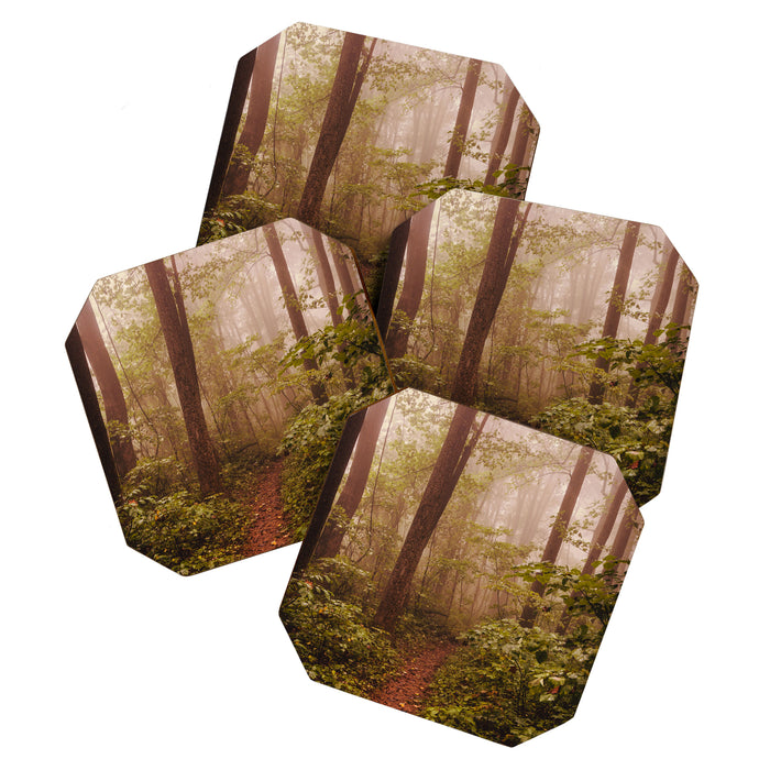 Smoky Mountain Forest Adventure II - National Park Nature Photography Coaster Gallery Image 1