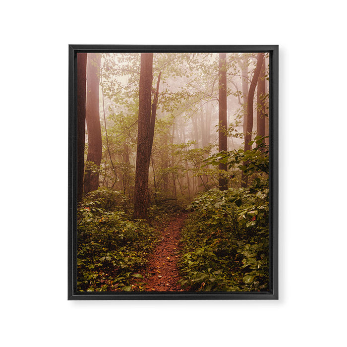Smoky Mountain Forest Adventure II - National Park Nature Photography Framed Canvas Print Gallery Image 1