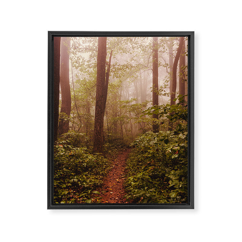 Smoky Mountain Forest Adventure II - National Park Nature Photography Framed Canvas Print Gallery Image 6