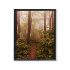 Smoky Mountain Forest Adventure II - National Park Nature Photography Framed Canvas Print Gallery Image 6