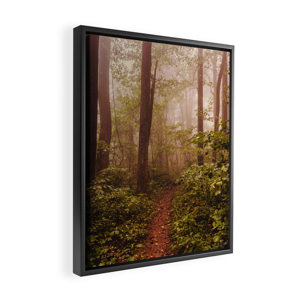 Smoky Mountain Forest Adventure II - National Park Nature Photography Framed Canvas Print Gallery Image 2