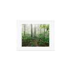 Smoky Mountain Forest Adventure - National Park Nature Photography Art Print Gallery Image 1