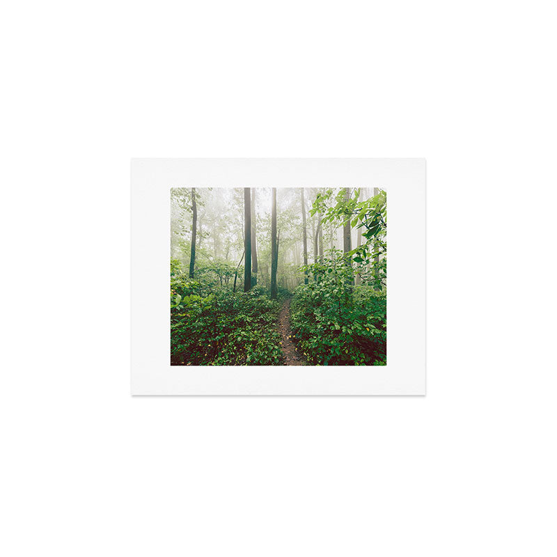 Smoky Mountain Forest Adventure - National Park Nature Photography Art Print Gallery Image 1