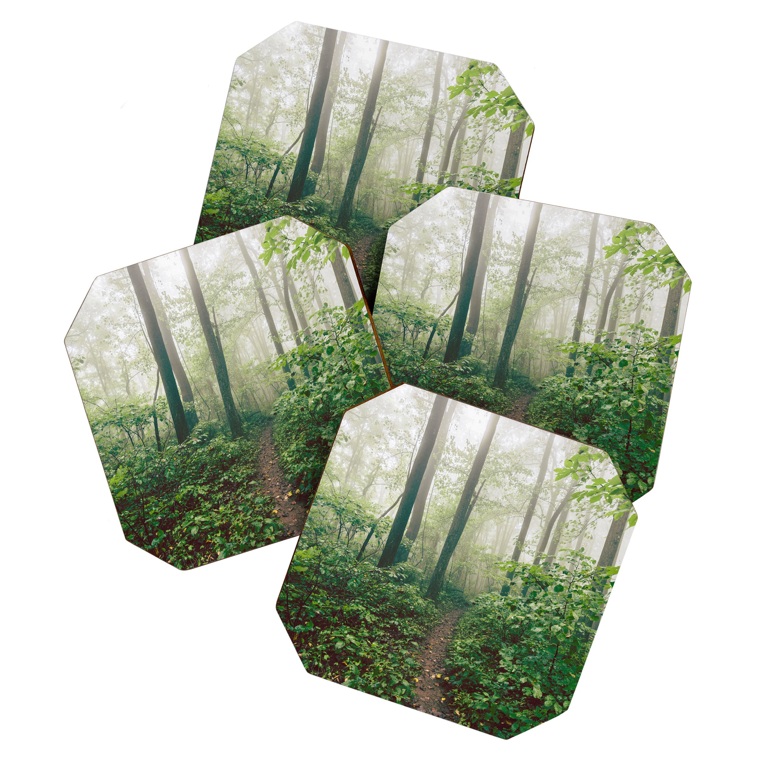 Smoky Mountain Forest Adventure - National Park Nature Photography Coaster Gallery Image 1