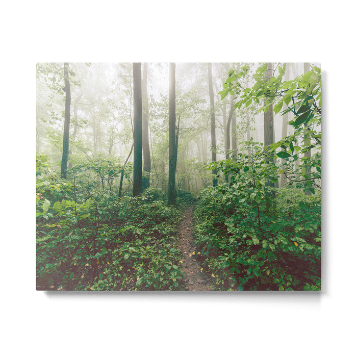 Smoky Mountain Forest Adventure - National Park Nature Photography Metal Print Gallery Image 1