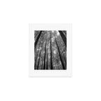 Smoky Mountain National Park Foggy Trees Art Print Gallery Image 1