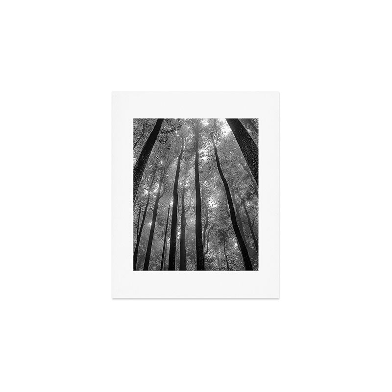 Smoky Mountain National Park Foggy Trees Art Print Gallery Image 1
