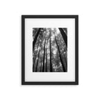 Smoky Mountain National Park Foggy Trees Framed Art Print Gallery Image 5