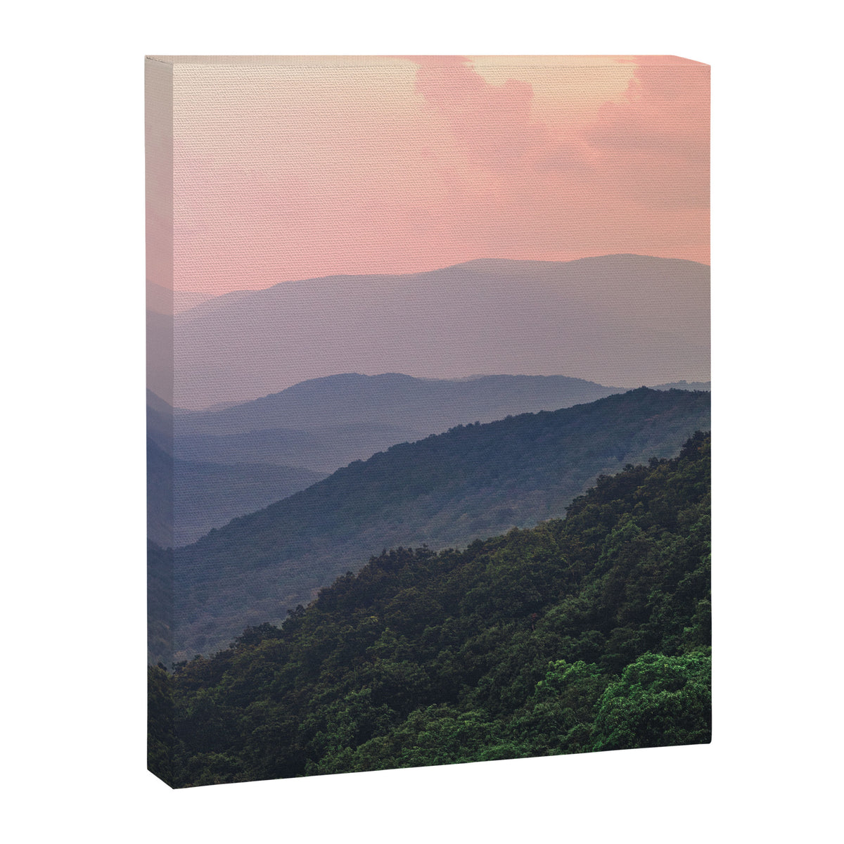 Smoky Mountain National Park III Canvas Print Gallery Image 6