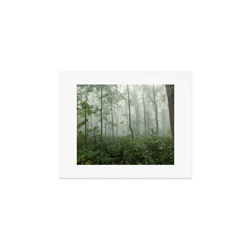 Smoky Mountain Summer Forest - National Park Nature Photography Art Print Gallery Image 1
