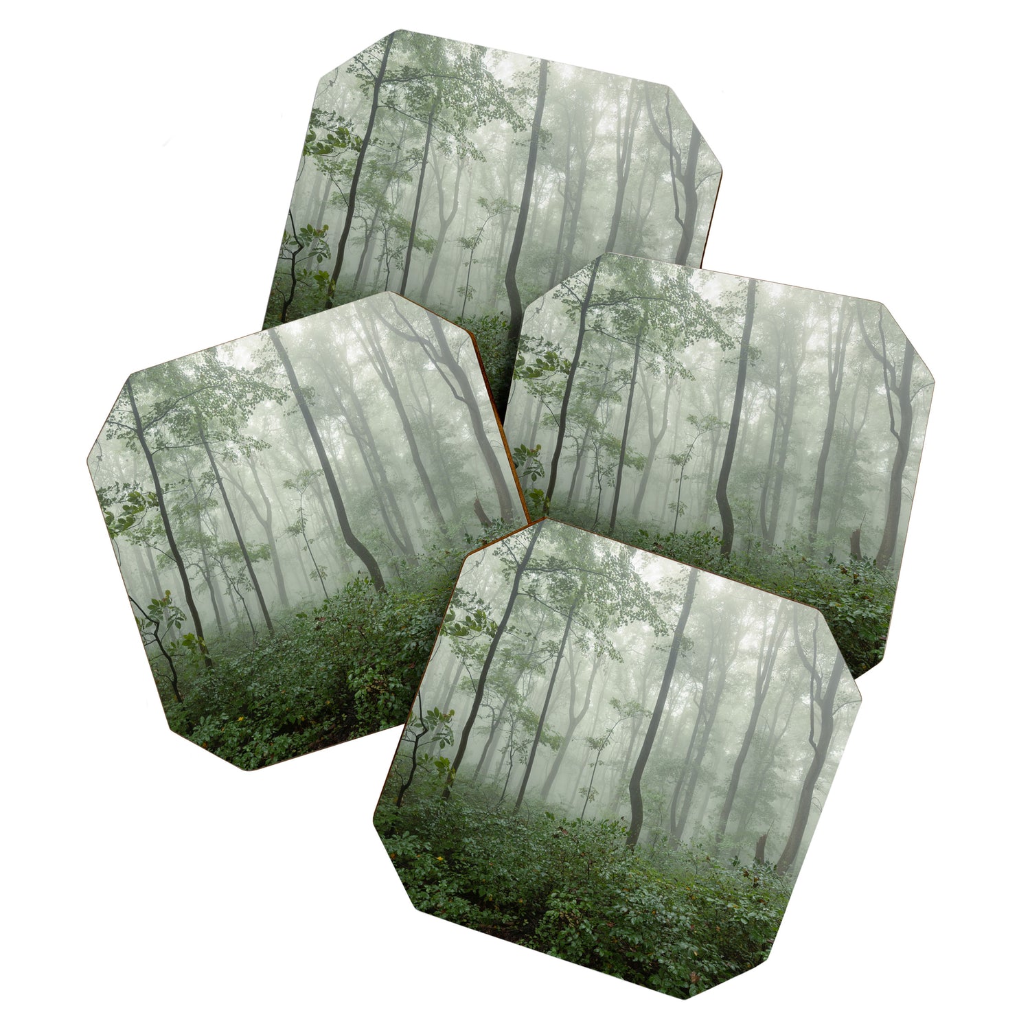 Smoky Mountain Summer Forest - National Park Nature Photography Coaster Gallery Image 1