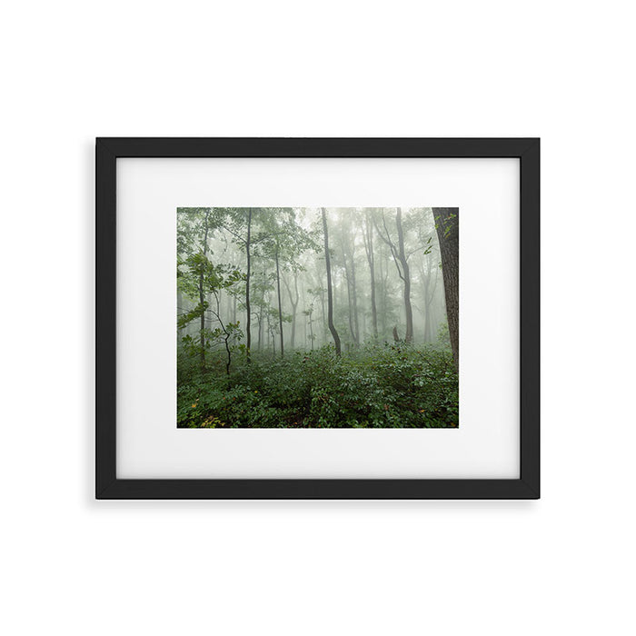 Smoky Mountain Summer Forest - National Park Nature Photography Framed Art Print Gallery Image 1
