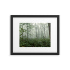 Smoky Mountain Summer Forest - National Park Nature Photography Framed Art Print Gallery Image 5
